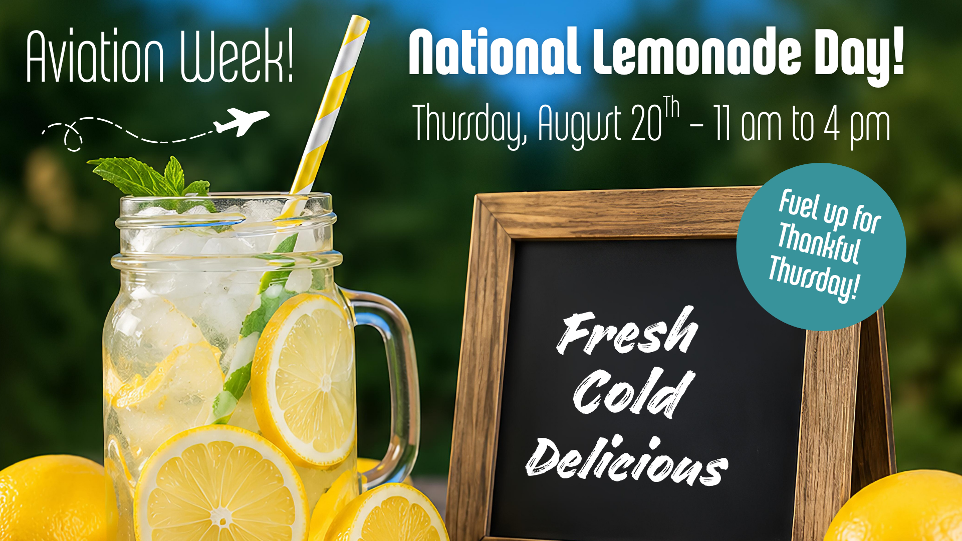 National Lemonade Day, Iced cold refreshing Lemonade